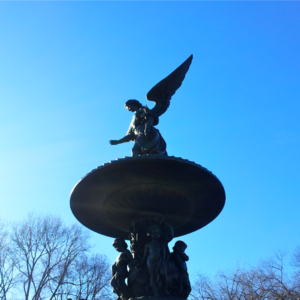 Private, guided, walking tours of New York City, Central Park, New York Tours by Gary